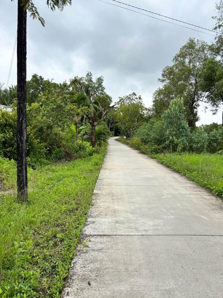 Bán đất ấp Hưng Thành, Cái Nước, Cà Mau 1944m² - Chỉ 700 triệu, pháp lý rõ ràng!