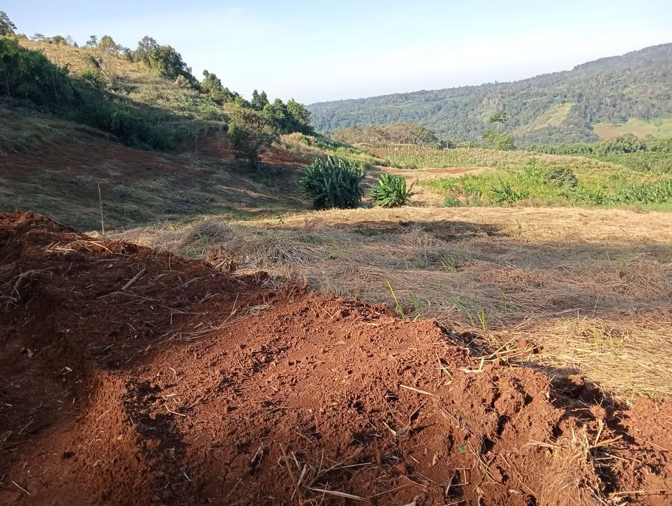 Đất nền thổ cư 2ha tại Thôn 5, Quảng Tâm - Giá chỉ 800 triệu, có thương lượng!