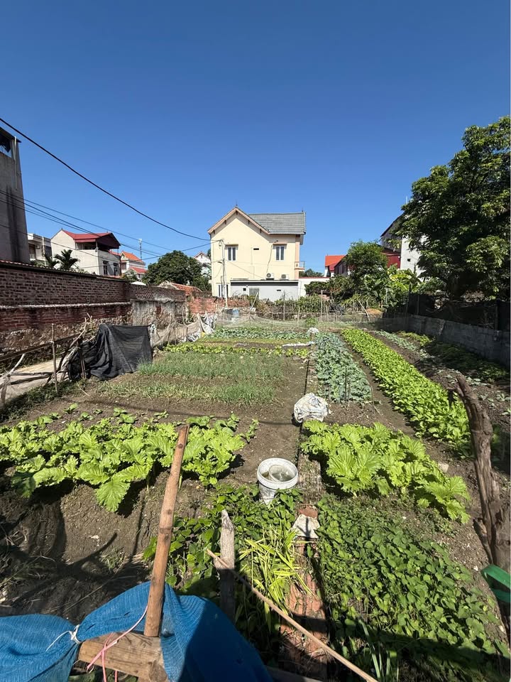 Đất lô góc Ngọc Xá, Quế Võ 74m² giá 1 tỷ - Cơ hội đầu tư tuyệt vời!