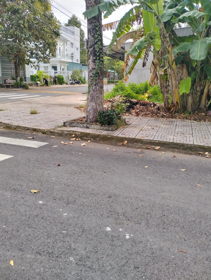 Đất nền góc đường Nguyễn Trãi, thị trấn Mỹ An, 99m² giá 2.5 tỷ - Cơ hội đầu tư hấp dẫn!