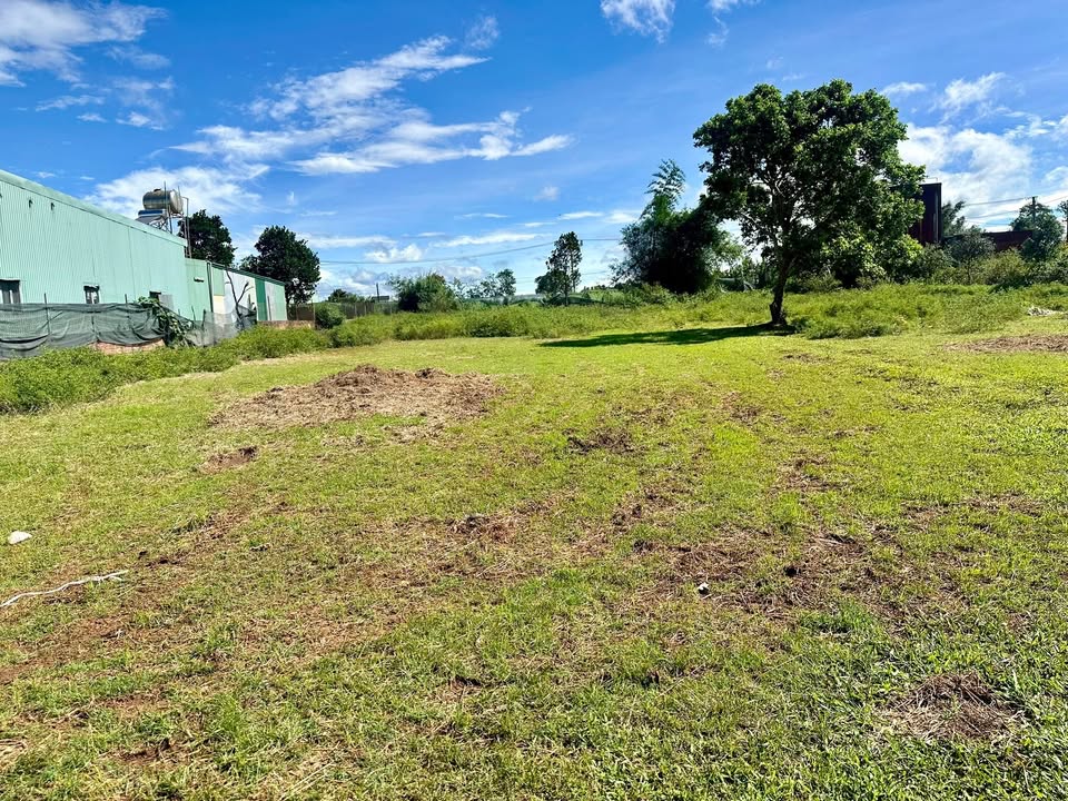 Đất thổ cư 150m² phường An Phú, Gia Lai giá chỉ 590 triệu - Hẻm chính Nguyễn Chí Thanh