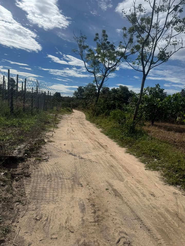 Đất nông nghiệp 2ha1 tại xã Ia Grai chỉ 1.1 tỷ - Cơ hội đầu tư hấp dẫn!