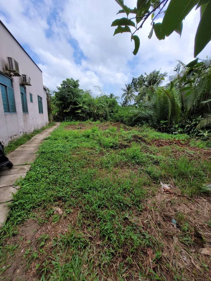 Đất thổ cư 250m² Phường 3, Vĩnh Long giá 700 triệu - Sổ đỏ chính chủ!