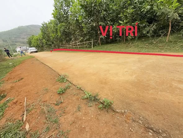 Đất nền thổ cư 450m² tại xã Cao Ngọc, Ngọc Lặc - Giá siêu rẻ, vị trí thuận lợi!