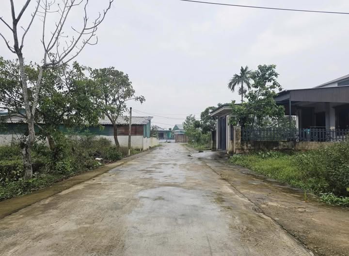 Đất nền Tân Hòa, Thạch Hà 145m² giá chỉ từ 8xx triệu - Cơ hội đầu tư tuyệt vời!