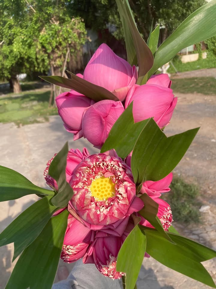 Tiệm Spa cho thuê tại Hẻm lớn 15 Trần Văn Ơn, quận Ninh Kiều - Cơ hội kinh doanh hấp dẫn!