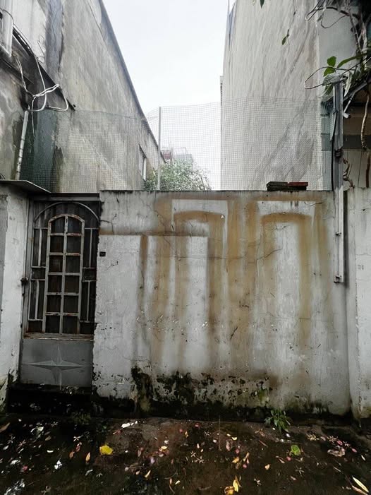 Bán đất Hồ Xuân Hương, Bình Thạnh 60m² giá 6.5 tỷ - Vị trí đắc địa sát hẻm xe tải!