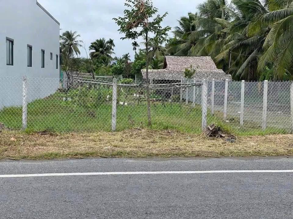 Đất mặt tiền Sơn Đông 573m² giá 3.8 tỷ - Cơ hội đầu tư hiếm có!