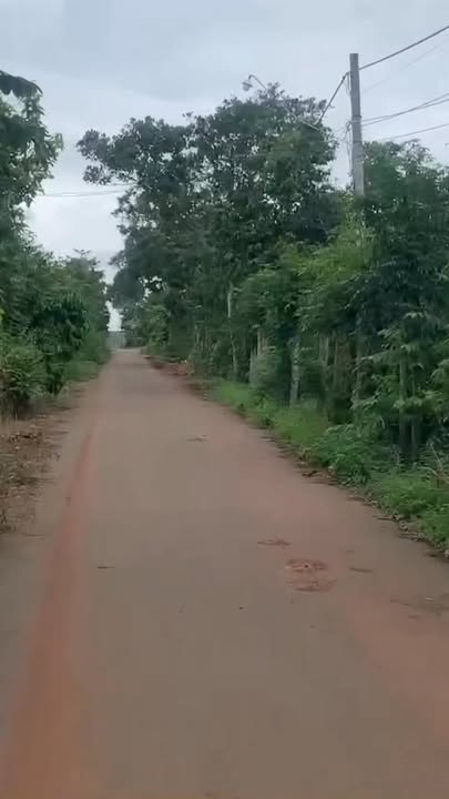 Đất nền 3600m² tại Hiệp Thành, Châu Đức chỉ 1.28 tỷ - Cơ hội đầu tư hấp dẫn!