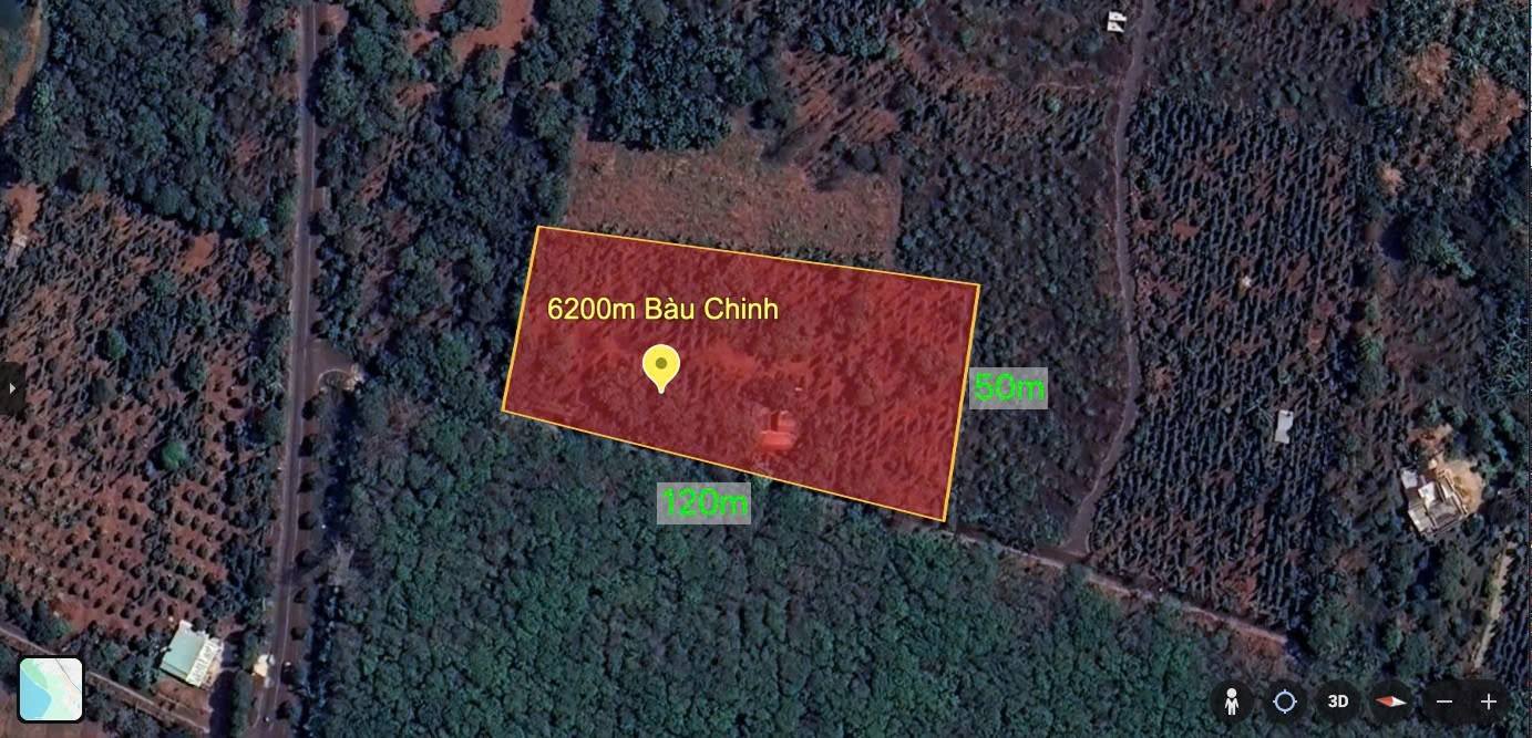 Đất nền Bàu Chinh 6200m² giá thỏa thuận - Đường ô tô rộng rãi