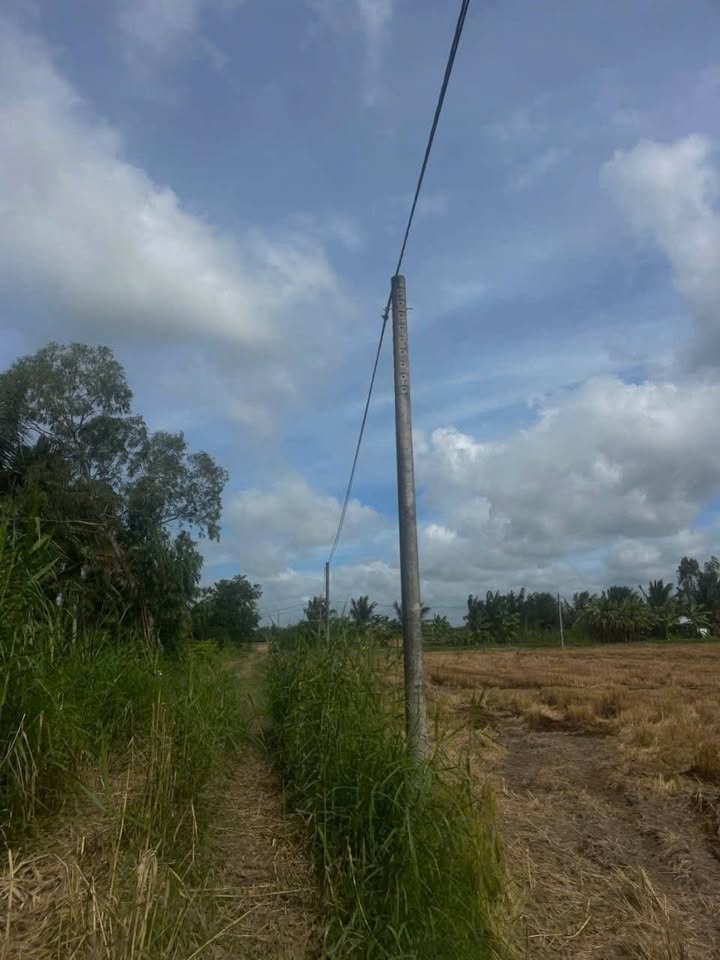 Đất nền thổ cư Trường Khánh 7300m² giá chỉ 730 triệu - Chính chủ bán gấp!