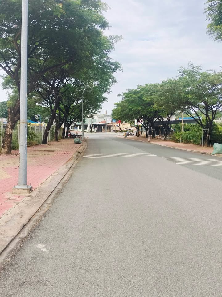 Đất mặt tiền kinh doanh đường DX082 Thủ Dầu Một 77m² giá chỉ 3.55 tỷ - Cơ hội đầu tư hiếm có!