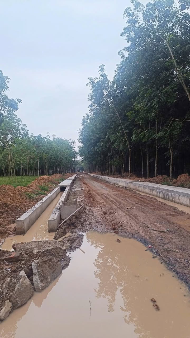 Đất Hòa Lợi Tân Uyên 8.300m² giá 13 tỷ - Vị trí vàng đầu tư sinh lời!