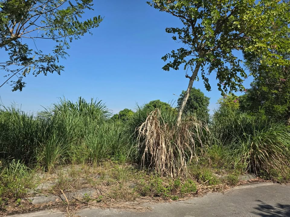 Lô đất 101m² tại Khu Cán Bộ Bệnh Viện Việt Đức - Đầu tư sinh lời