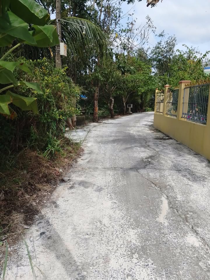 Đất nền Nhơn Ái, Phong Điền 1707m² - Đầu tư sinh lời với cây sầu riêng tháng 6!