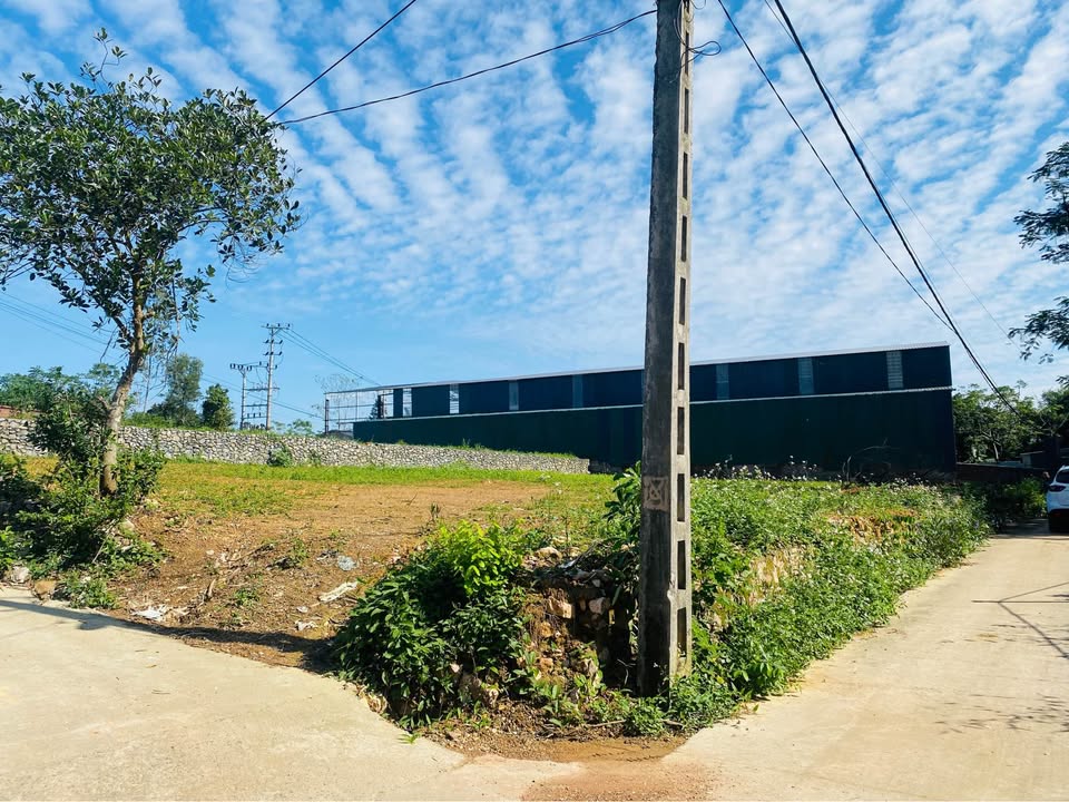 Đất nền Hòa Sơn 2800m² chỉ 5.6 tỷ - Cơ hội vàng đầu tư!