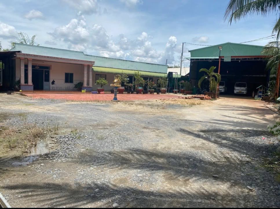 Xưởng 15.000m² tại Bến Cầu, Tây Ninh - Giá chỉ 8 tỷ - Cơ hội đầu tư tuyệt vời!