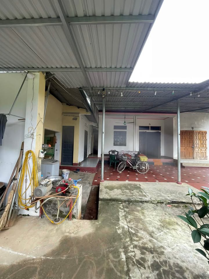 Nhà cấp 4 phường Âu Lâu, Yên Bái 308m² giá 3.5 tỷ - Cách Riverside chỉ vài bước chân!