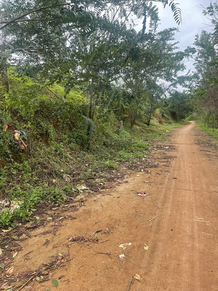 Đất nông nghiệp mặt tiền đường bê tông Mê Linh 6000m² - Sổ đỏ chính chủ, giá tốt!