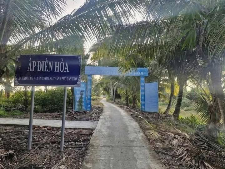 Đất nền Thới Lai, Cần Thơ 100m² giá 230 triệu - Sổ hồng đầy đủ, thổ cư