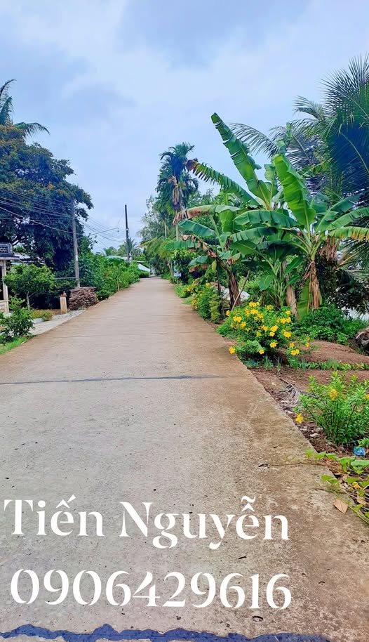 Đất thổ cư Trường Thành, Thới Lai, 748m² - Giá chỉ 1.05 tỷ, đầu tư sinh lời!