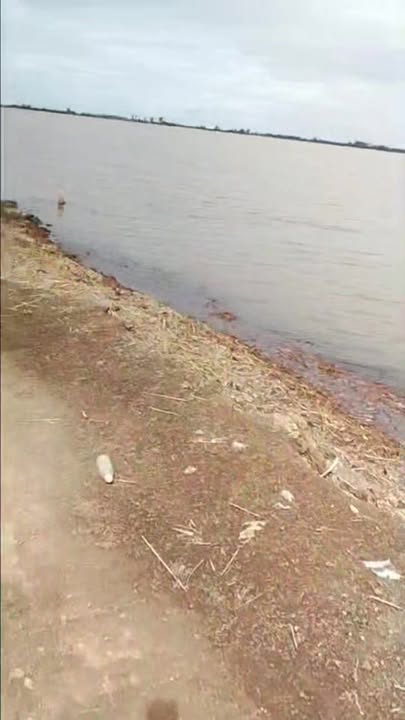 Đất nền Hưng Thạnh, Tháp Mười 28.000m² giá chỉ 2.99 tỷ - Cơ hội đầu tư hấp dẫn!