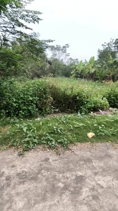 Đất thổ cư Nam Điền 453.6m² giá 45.36 tỷ - Gần trục đường ĐL 490C