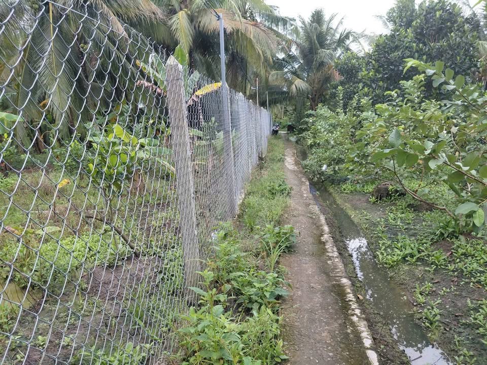 Đất vườn 1200m² xã Bình Trưng, Châu Thành giá 900 triệu - Đầu tư sinh lời lý tưởng!