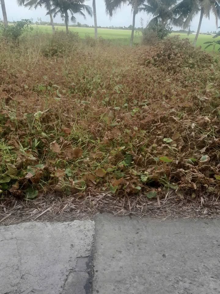 Đất nền mặt tiền kênh KH1 549,4m² giá 1.4 tỷ - Vị trí đắc địa tại Giục Tượng