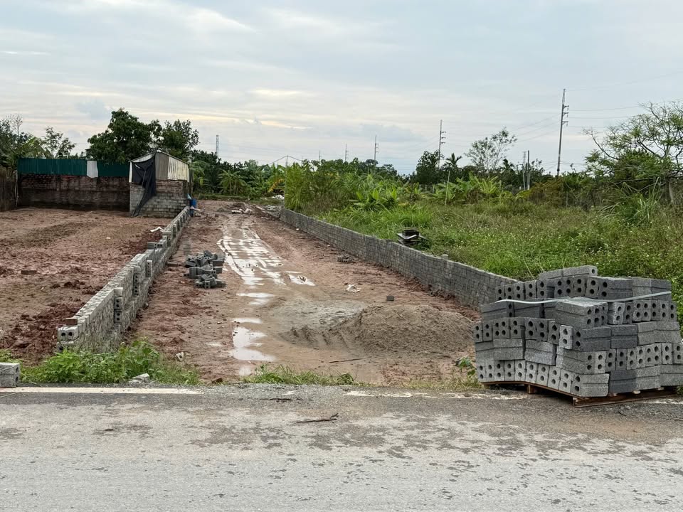 Đất vườn 525m² mặt đường DH08 Sài Sơn - Đầu tư sinh lời hấp dẫn!