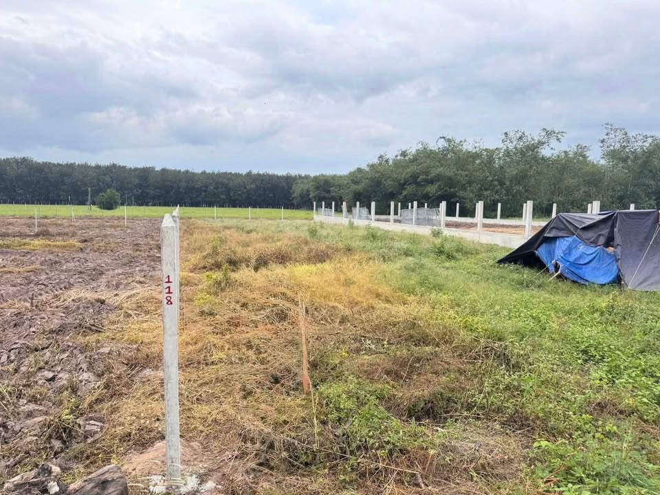 Đất nền Dương Minh Châu 1.020,7m² giá 539 triệu - Sổ đỏ chính chủ, vuông vức!