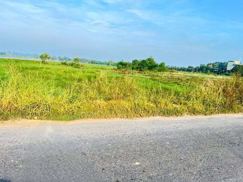 Đất nền ấp Đá Hàng, Phước Thạnh, Gò Dầu 1134m² giá 2.205 tỷ - Đầu tư sinh lời ngay!