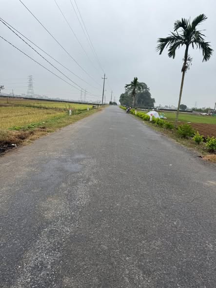 Đất nền mặt tiền hướng Bắc xã Nam Hoa, Nam Trực - 212.5m² giá 1.1 tỷ - Sổ đỏ chính chủ