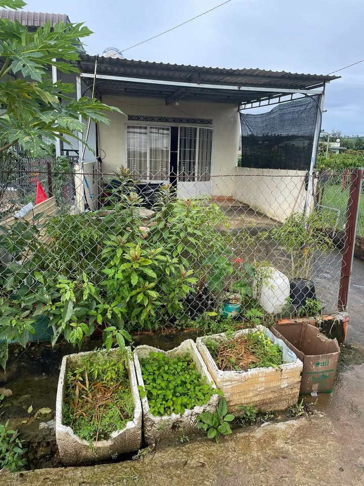 Nhà ở Tân Văn, Lâm Hà 115m² giá 550 triệu - Cơ hội sở hữu nhà giá tốt!