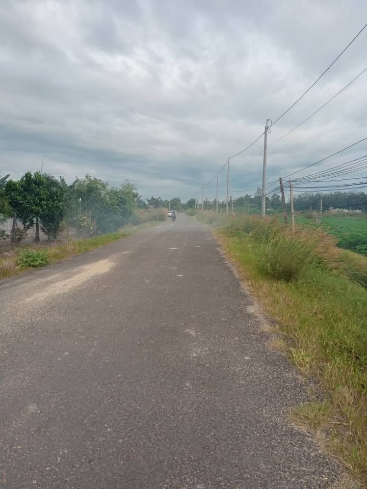 Đất chính chủ Suối Đá Dương Minh Châu 1200m² giá chỉ 100 triệu - Cơ hội đầu tư tuyệt vời!