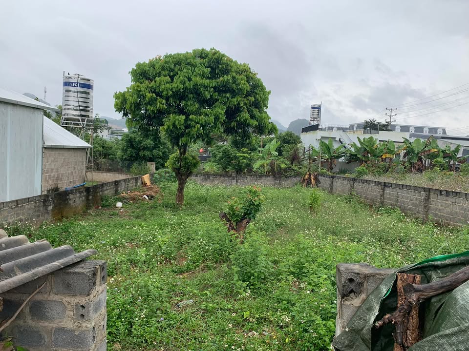 Đất nền khu phố 5, phường Chiềng Sinh 231m² - Sổ đỏ chính chủ, giá tốt!