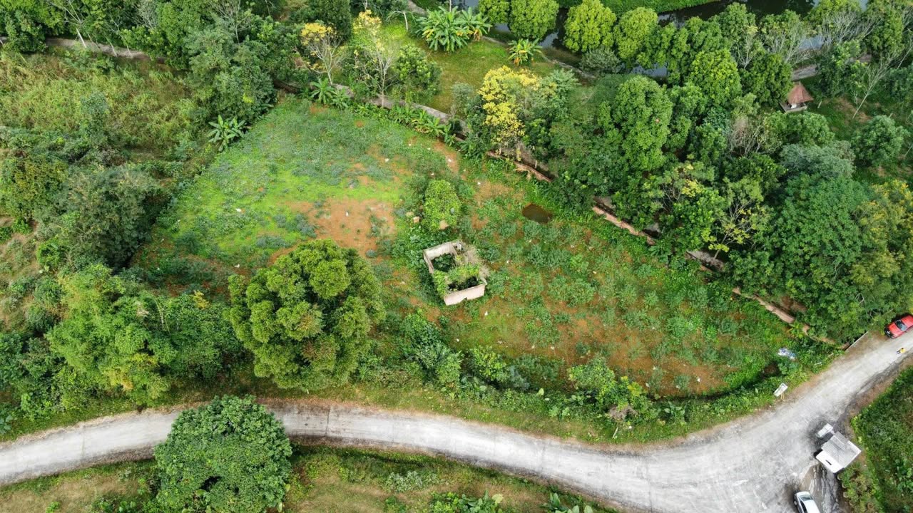 Đất nghỉ dưỡng Tản Lĩnh Ba Vì 2920m² giá 1.6 tỷ - View đẹp, xe vào tận nơi!