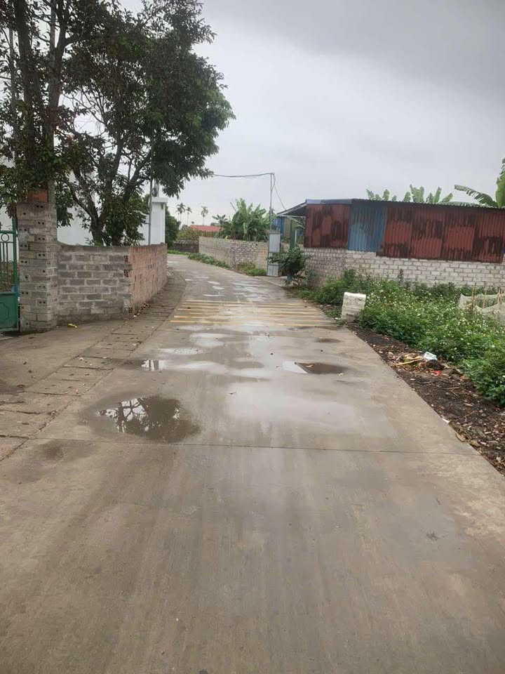 Đất thổ cư thôn Thông, xã Phù Ninh, 79m² - Gần trường học, giá chỉ 900 triệu!