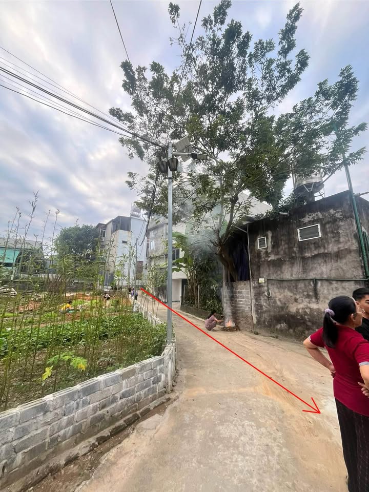 Đất thổ cư Tân Hà, Tuyên Quang 81m² - Cơ hội đầu tư sinh lời!