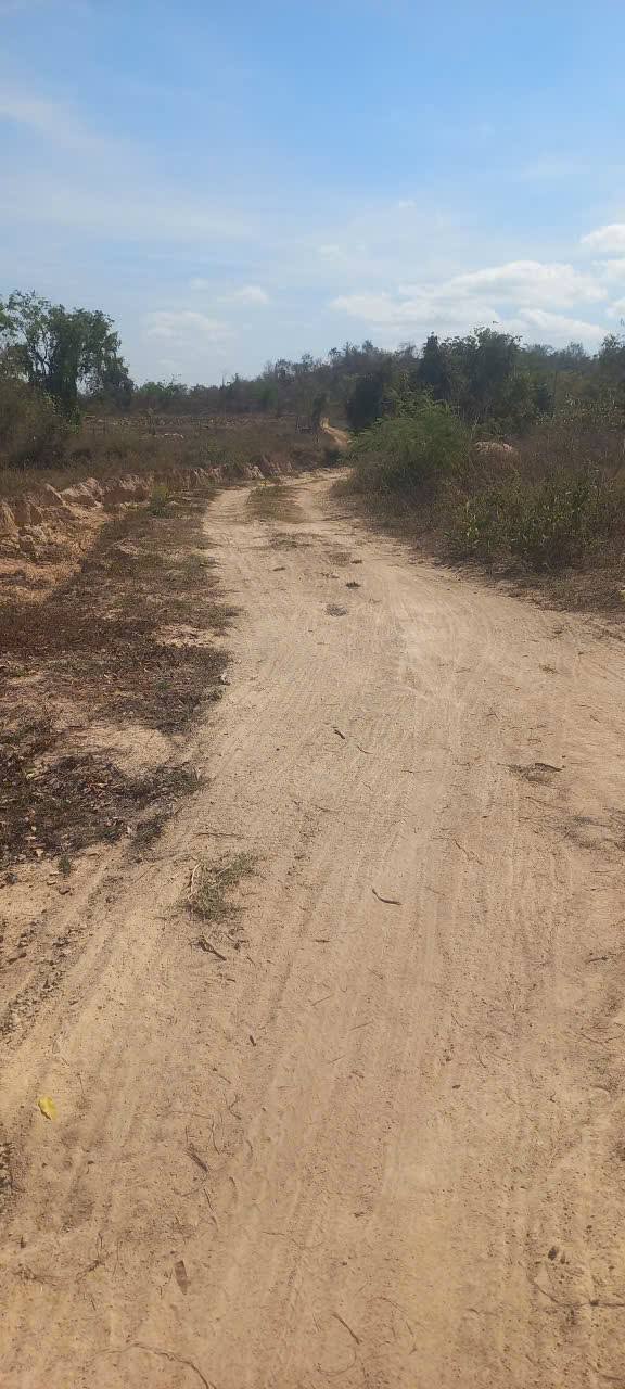 Đất nông nghiệp 1.2ha tại Hàm Thuận Bắc - Giá 730 triệu, sổ đỏ chính chủ!