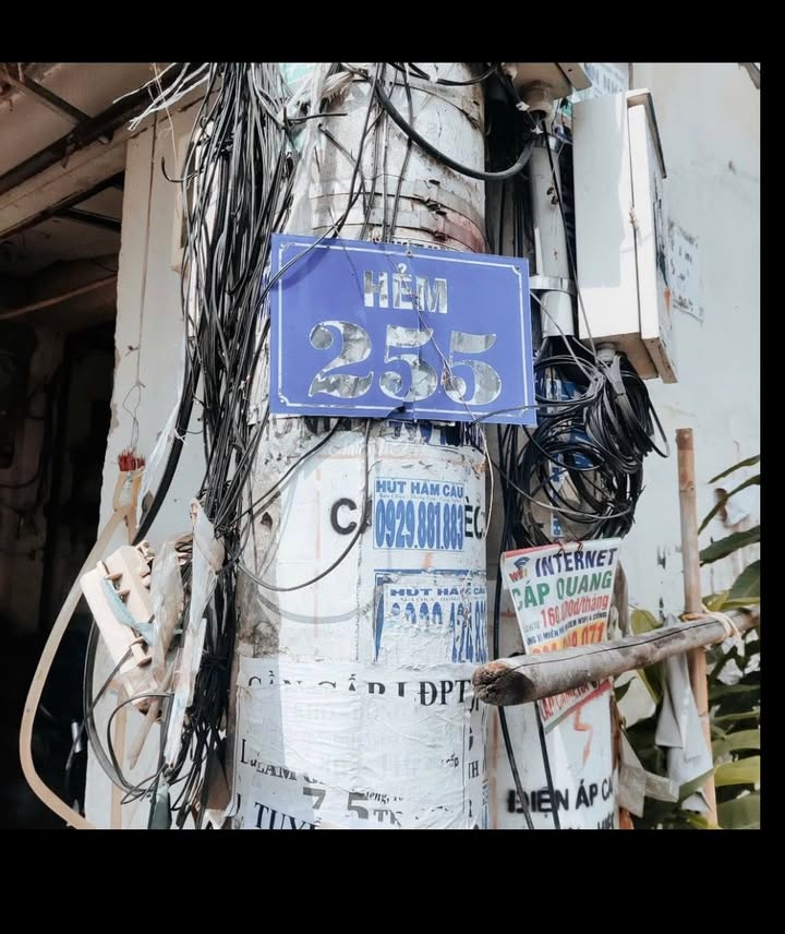 Nhà liền kề Đường số 11, Bình Hưng Hòa, 50m² giá 4.2 tỷ - Sổ hồng riêng, xây dựng kiên cố!