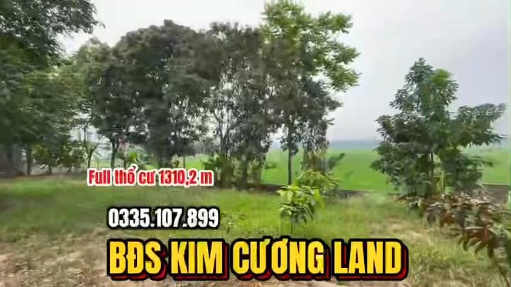 Đất thổ cư 1.310m² tại An Tường, Tuyên Quang - Giá chỉ 16.643 tỷ, đầu tư sinh lợi cao!