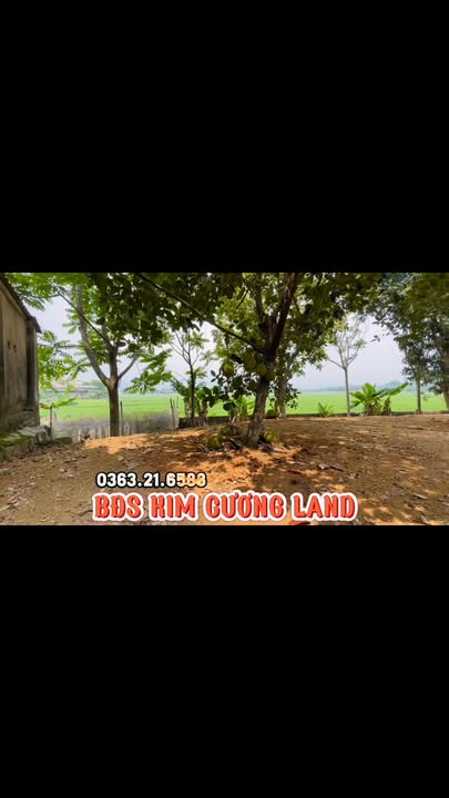 Đất thổ cư 1310m² tại thôn 5, xã An Tường, TP. Tuyên Quang - Cơ hội đầu tư tuyệt vời!