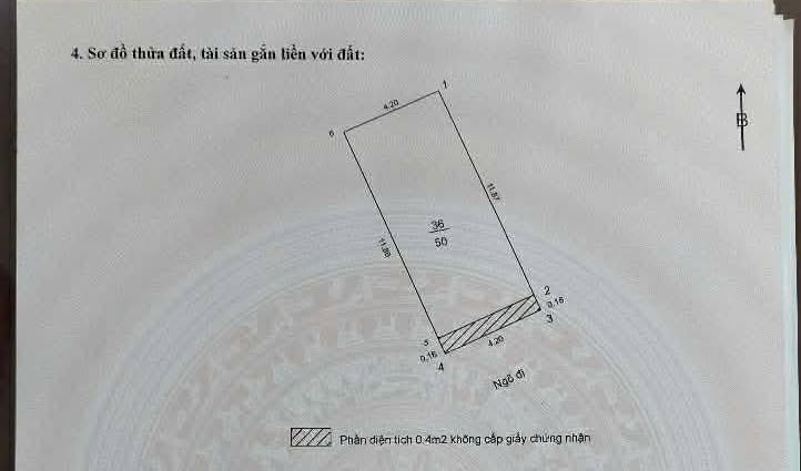 Nhà phố Nguyễn Tuân, Thanh Xuân 50m² giá thỏa thuận - Ô tô qua nhà, view biệt thự!