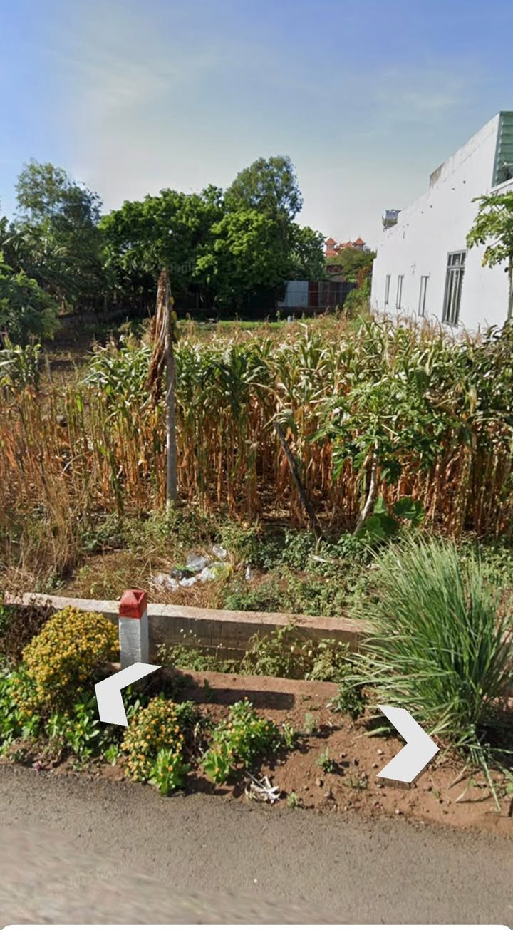 Đất nền khu Bàn Cờ - Xã Nghĩa Thành, 612m² chỉ 6.426 tỷ - Đầu tư sinh lời cao!