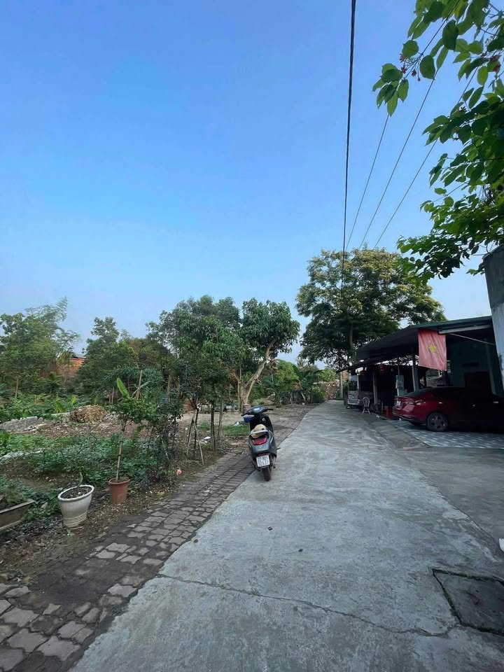 Đất thổ cư An Tường 96m² giá 1.4 tỷ - Ô tô vào tận nơi!