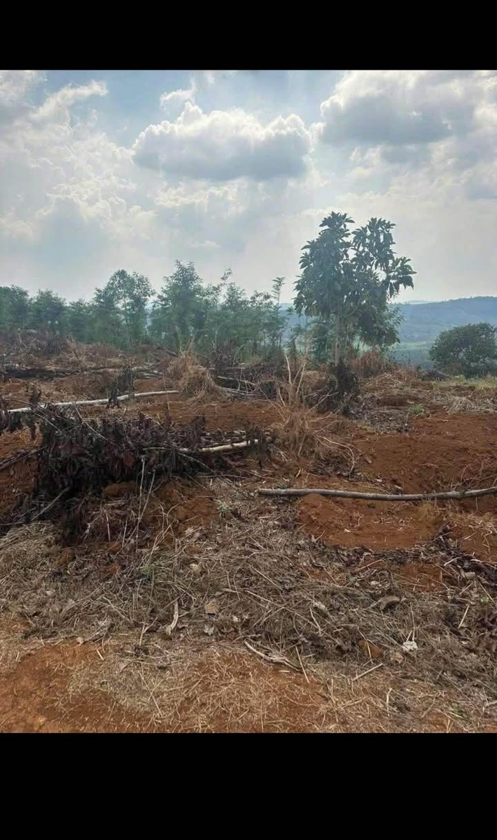 Đất nền Nhân Cơ 1,3ha giá 2 tỷ - Cần bán gấp, thương lượng tốt!