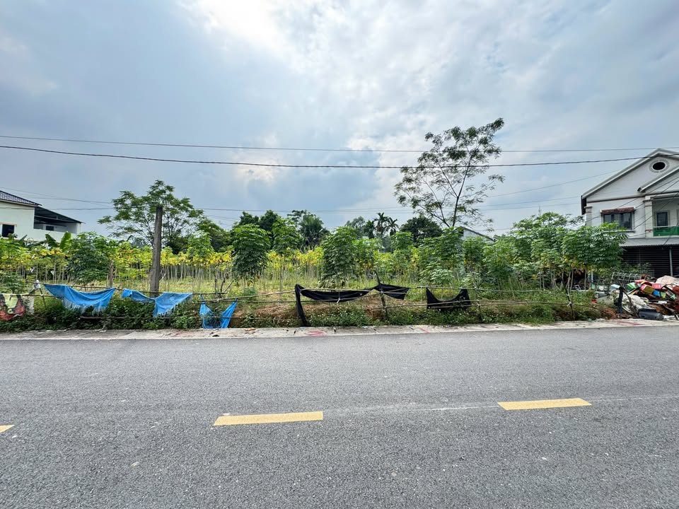 Đất mặt đường Khu 4 Thanh Đình, Việt Trì 96m² giá chỉ 1.x tỷ - Đầu tư sinh lời ngay!