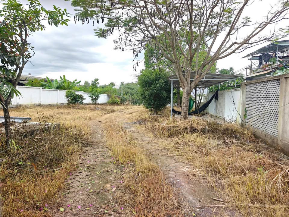 Đất 2 Mặt Tiền KDC Bình Minh, Trảng Bom 11.500m² - Đầu Tư Lợi Nhuận Cao!