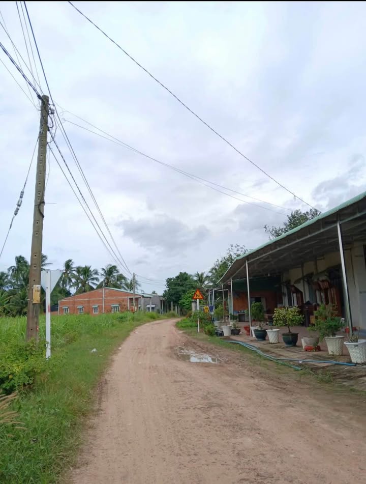 Đất Tân Phong, Tân Biên 200m² giá chỉ 99 triệu - Sổ hồng chính chủ!